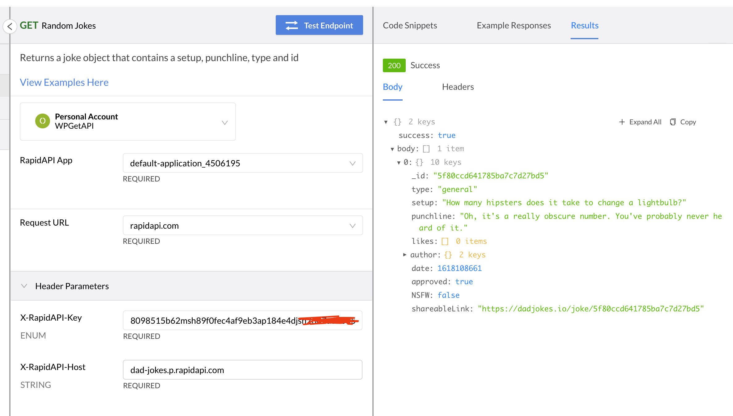 Testing RapidAPI endpoints