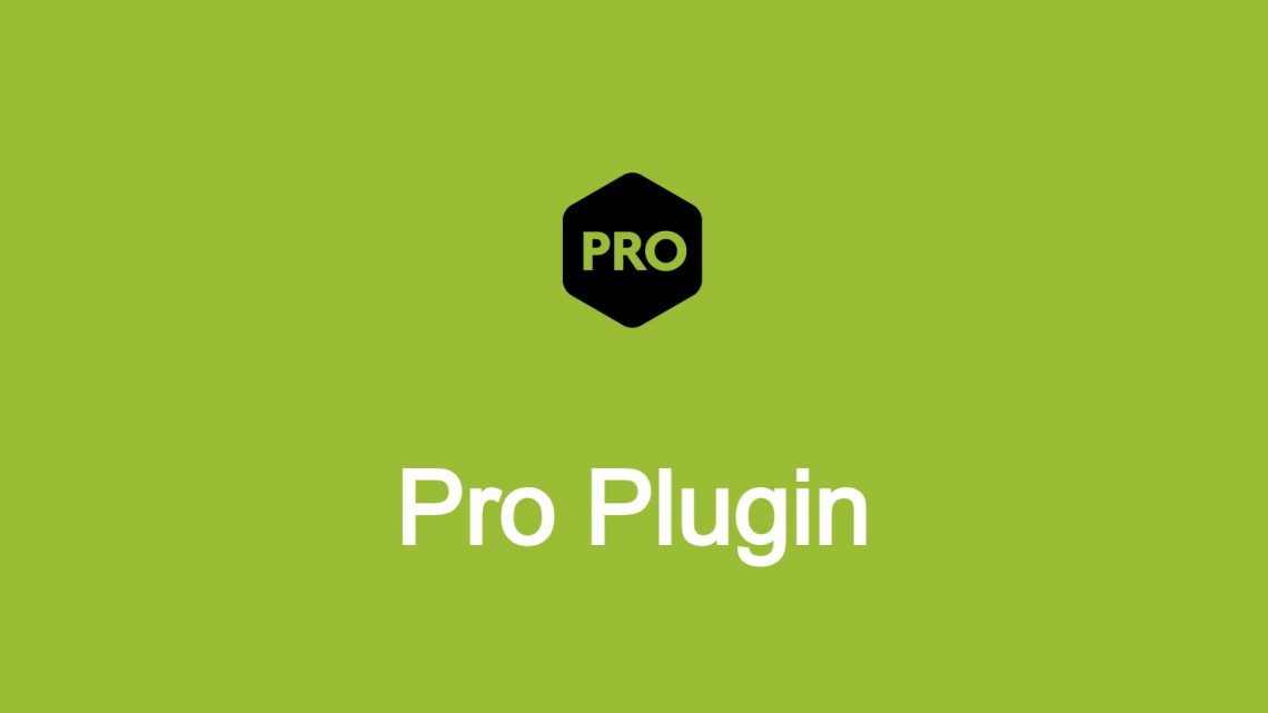 <span itemprop="name">Pro Plugin</span>